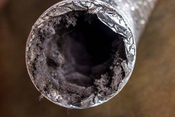 Best Air Duct Cleaning Company Near Me  in Indian Hills, NM